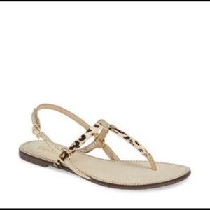 lilly pulitzer cheetah print sandals